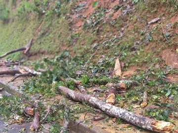 Chuvas com ventos fortes derrubam árvore e barranco em Marechal Florian