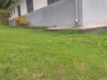 Imóvel da ferrovia receberá limpeza em Marechal Floriano 2