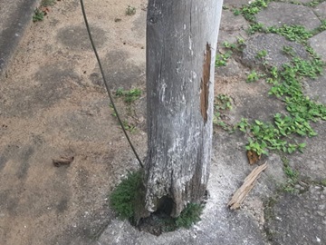 Sinal de apodrecimento em poste preocupa moradores em Marechal Floriano 2