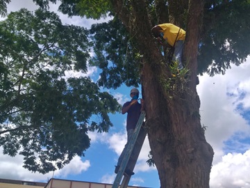 Abertura do projeto nesta sexta feira do Natal Luz de Marechal Floriano 2