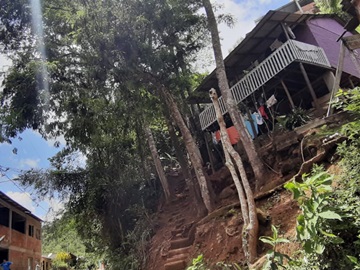 Árvores em área de risco para moradores em um bairro de Marechal Floriano