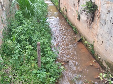 Peixes morrem no Córrego Batatal em Marechal Floriano