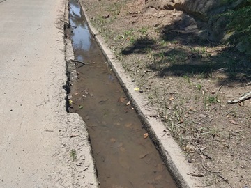 Água das chuvas represada à margem da BR 262 em Marechal Floriano 4