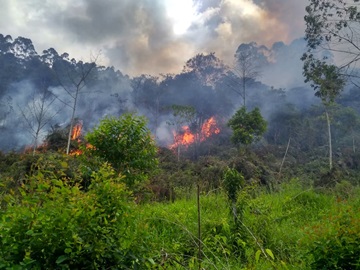 Bombeiros combatem incêndio em vegetação no interior de Domingos Martins