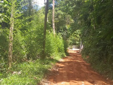 Parte da pista que leva à Estação de Tratamento de Esgoto ETE é coberta de cascalho