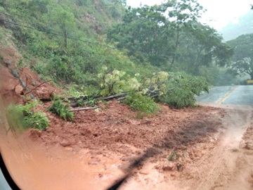 Queda de árvores e lama na rodovia Pedro Cola e BR 262 na Região Serrana