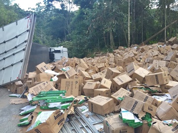 Carga de luminárias pode ter provocado tombamento em carreta na BR 262