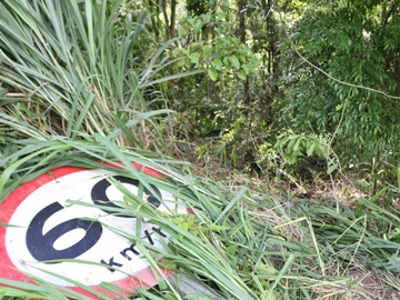 Carro cai de ribanceira e família vive momentos de agonia