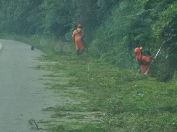 Equipes cortam capim alto às margens de BR 262 na Região Serrana