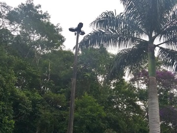 Lâmpada queimada deixa perigoso o acesso à sede de Domingos Martins