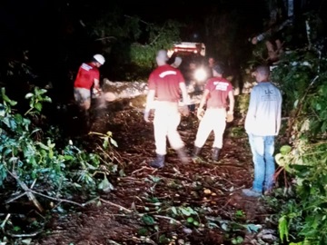 Ventania derruba árvores e interdita estrada em Marechal Floriano