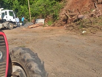 Árvores que caíram e ameaçam queda na BR 262 são retiradas pela Prefeitura de Marechal Floriano