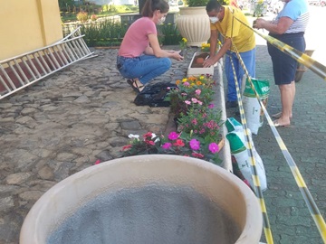Novas flores replantadas em vasos após destruição pelos moradores de rua
