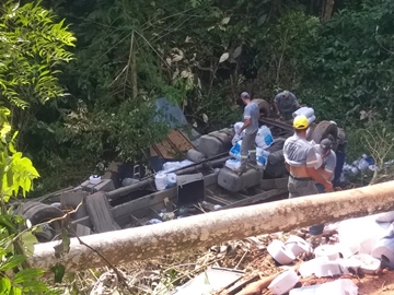 Caminhão carregado com papel higiênico tomba em matagal ao lado da BR 262 2