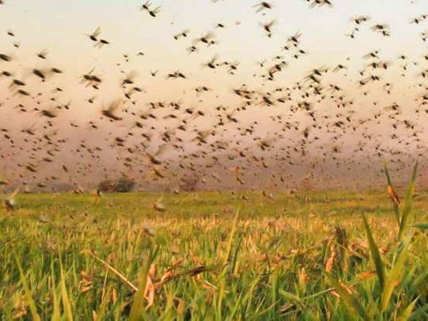 dfghfdhdghgdhggdhgdrf-1-1280x720-1