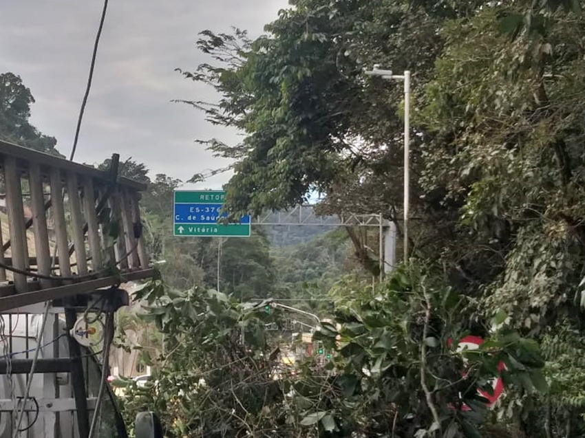 Galhos-de-arvores-que-ameacam-fios-eletrificados-sao-cortados-em-Marechal-Floriano-2