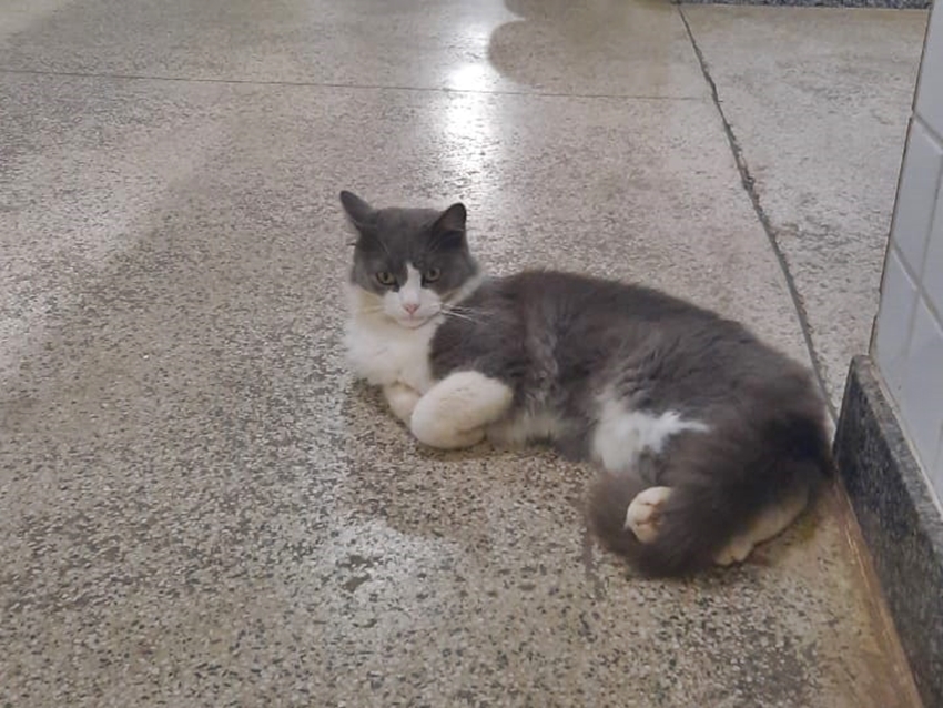 WhatsApp-Image-2021-08-10-at-10.42.40