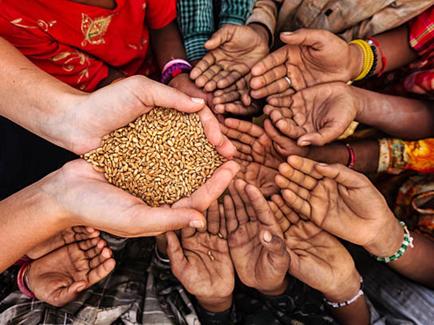 Volunteer caucasian woman giving grain to starving African children. Poor African children keeping their hands up - asking for food. Many African children suffer from poverty - 20% of Africa’s children will die before the age of five.  Every day 30,000 children die from a combination of disease- infested water and malnutrition.