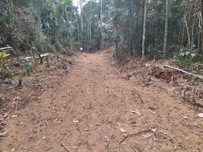 vegetacao-santa-maria