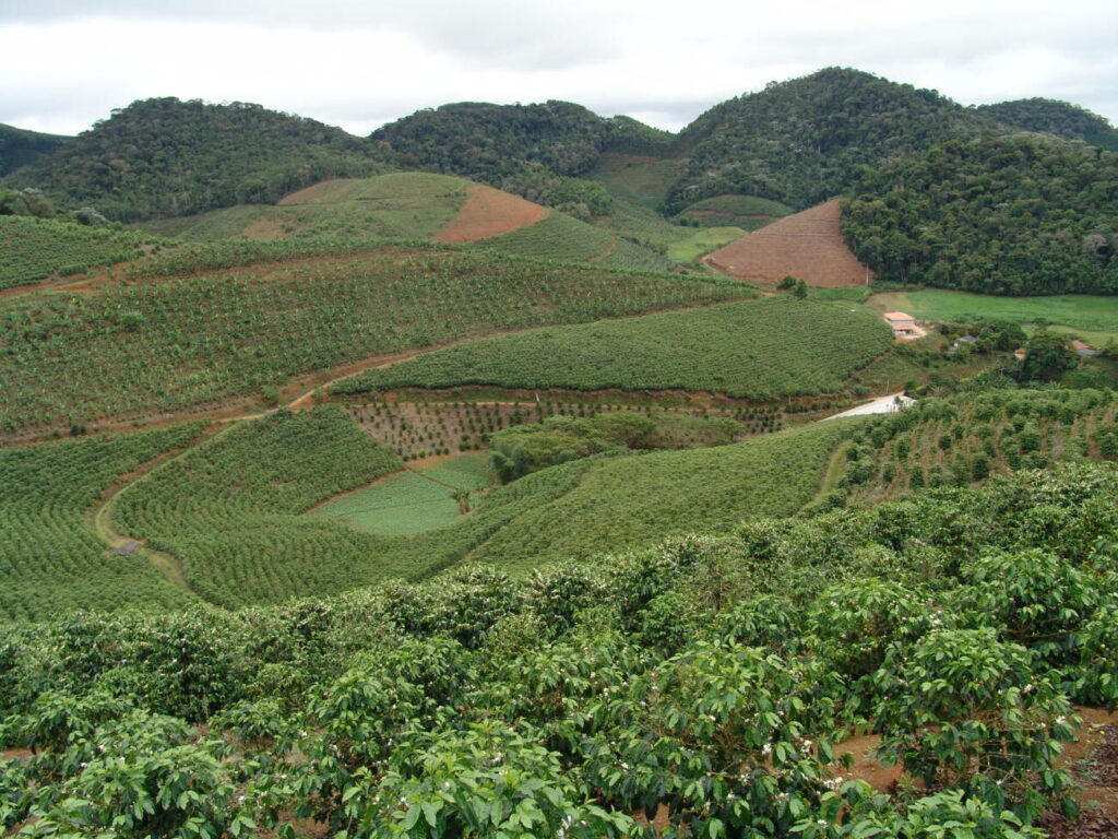 Café Marechal Floriano