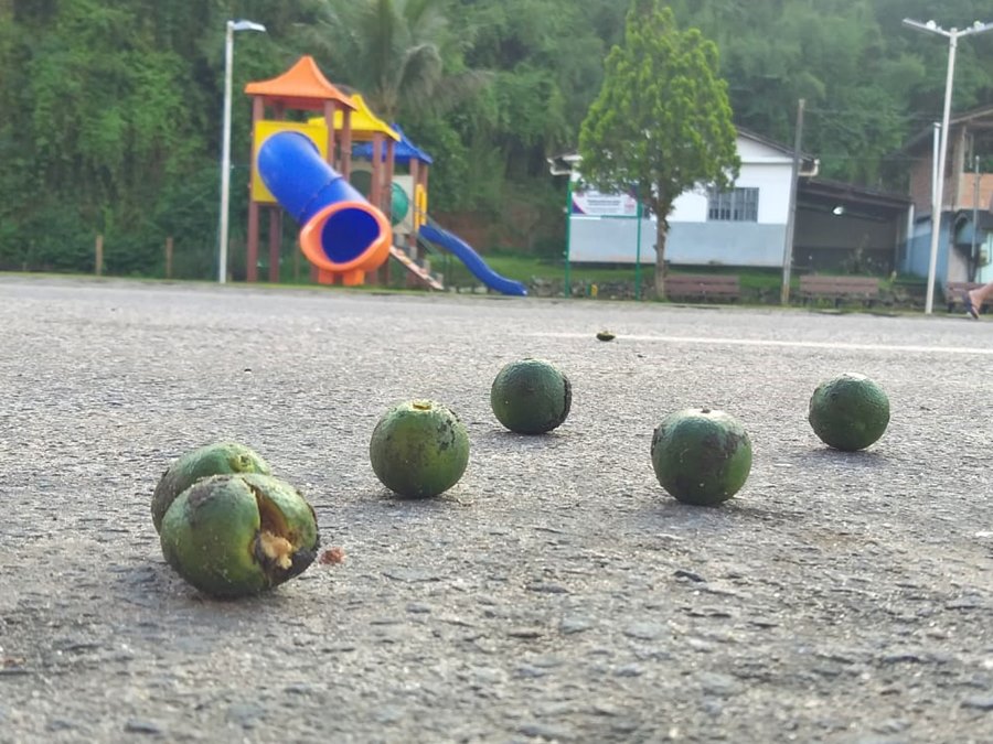 Jovens-fazem-algazarra-e-podem-quebrar-parquinho-infantil-em-Marechal-Floriano-2 Jovens-fazem-algazarra-e-podem-quebrar-parquinho-infantil-em-Marechal-Floriano-2