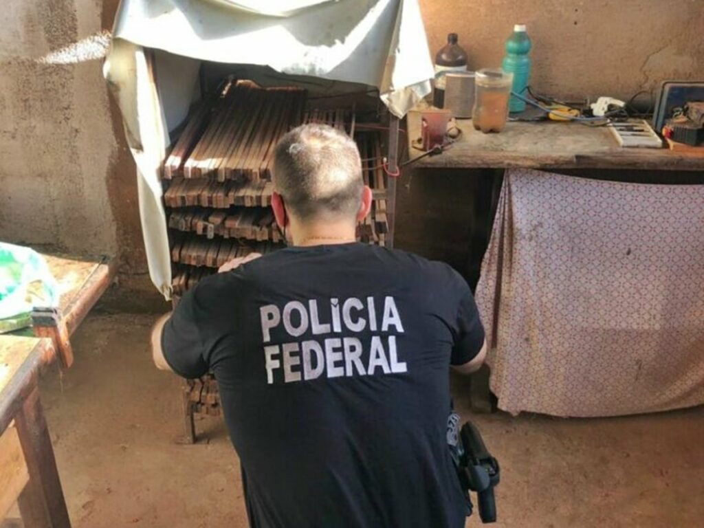 Policia-Federal-e-Ibama-realizam-operacao-contra-venda-internacional-de-arcos-de-violinos-clandestinos-2