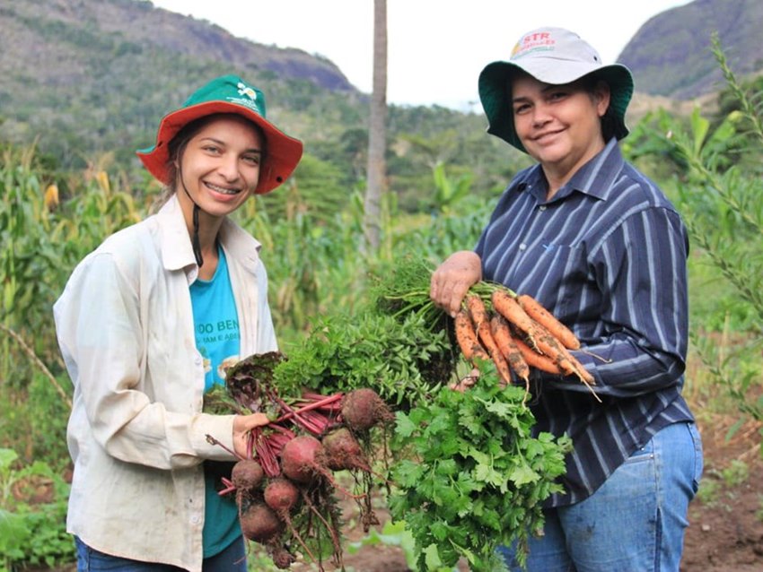 Sedu-abre-Chamada-Publica-da-Agricultura-Familiar Sedu-abre-Chamada-Publica-da-Agricultura-Familiar