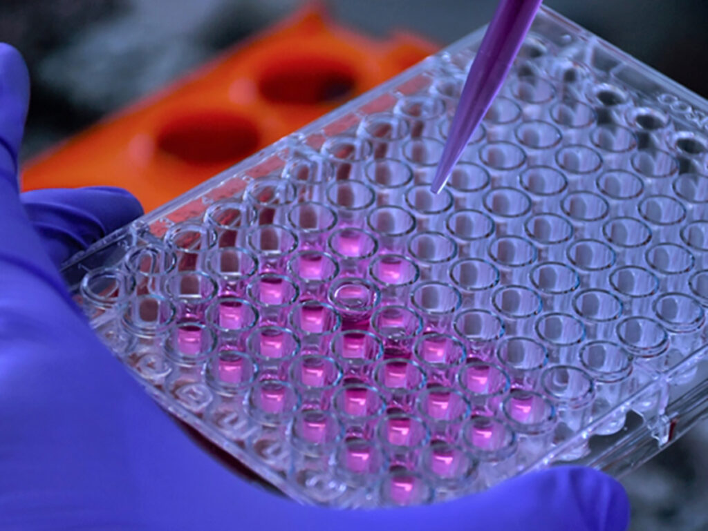 substancias-contrao-trypanosomacruzi