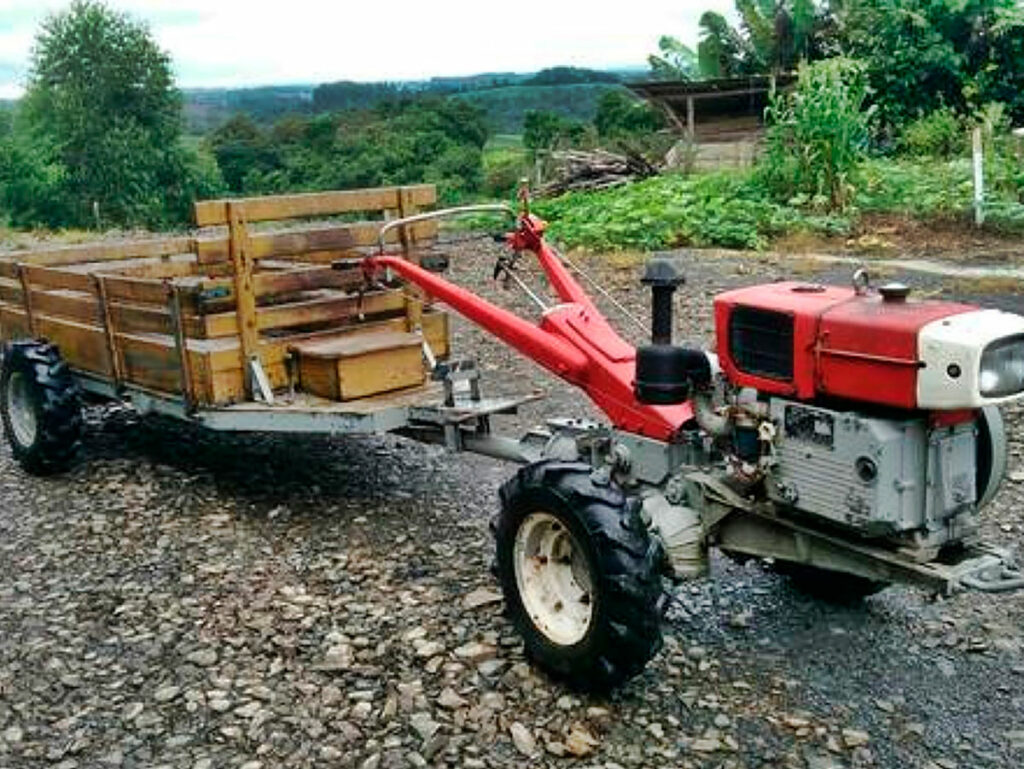 tobata-crianca-domingos-martins