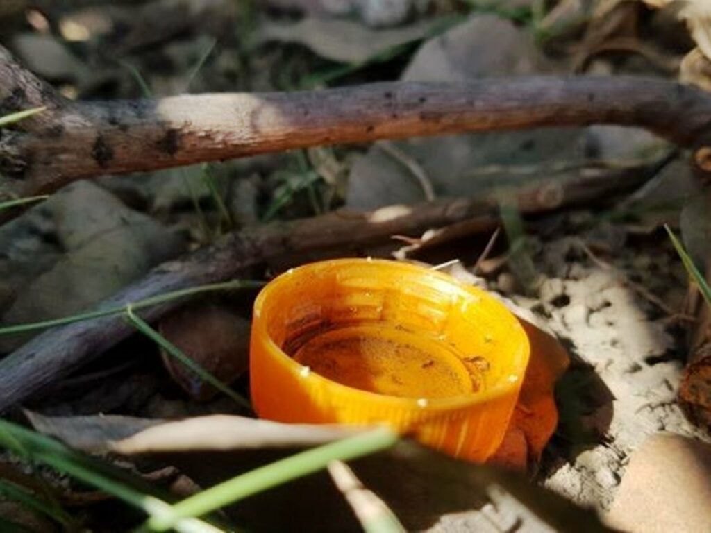 A-Zika-e-uma-doenca-transmitida-por-meio-da-picada-do-Aedes-Aegypti.-Ele-apresenta-um-risco-superior-aos-outros-virus-como-o