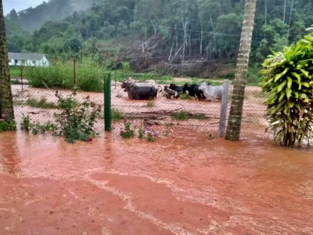 Chuva-de-mais-de-100-milimetros-causa-alagamentos-e-transtornos-na-Regiao-Serrana-2
