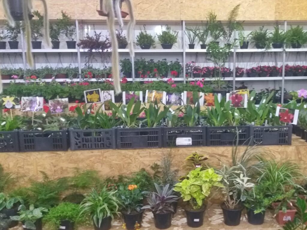 Diversidade-de-orquideas-roupas-e-farto-cardapio-presentes-na-Feira-Empresarial-de-Marechal-Floriano-2