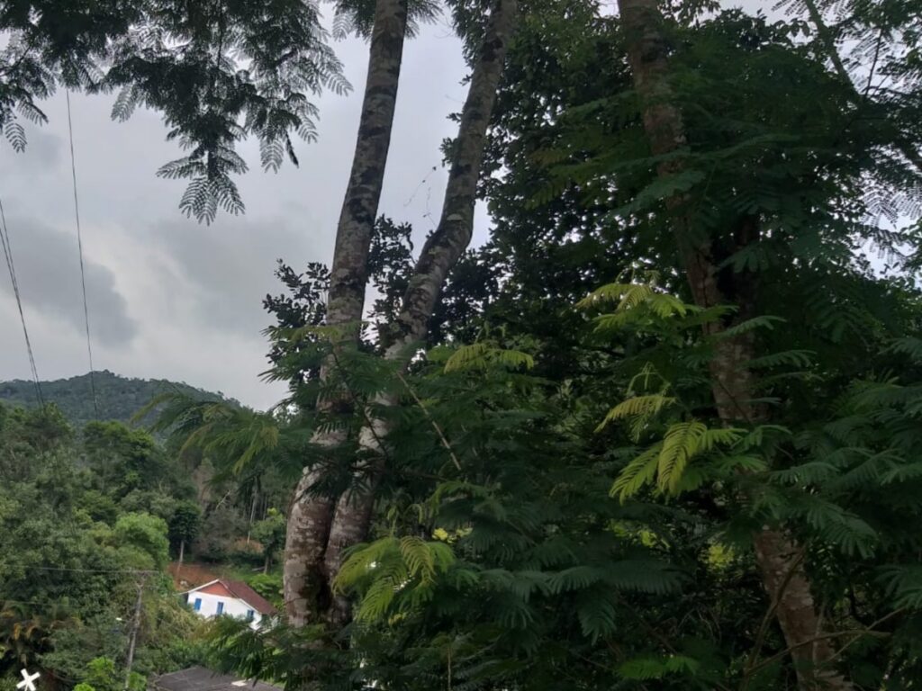 WhatsApp Image 2021-12-31 at 09.23.07