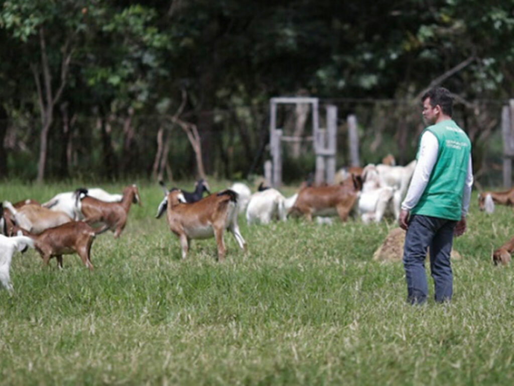 Cursos-tecnicos-do-Senar-co