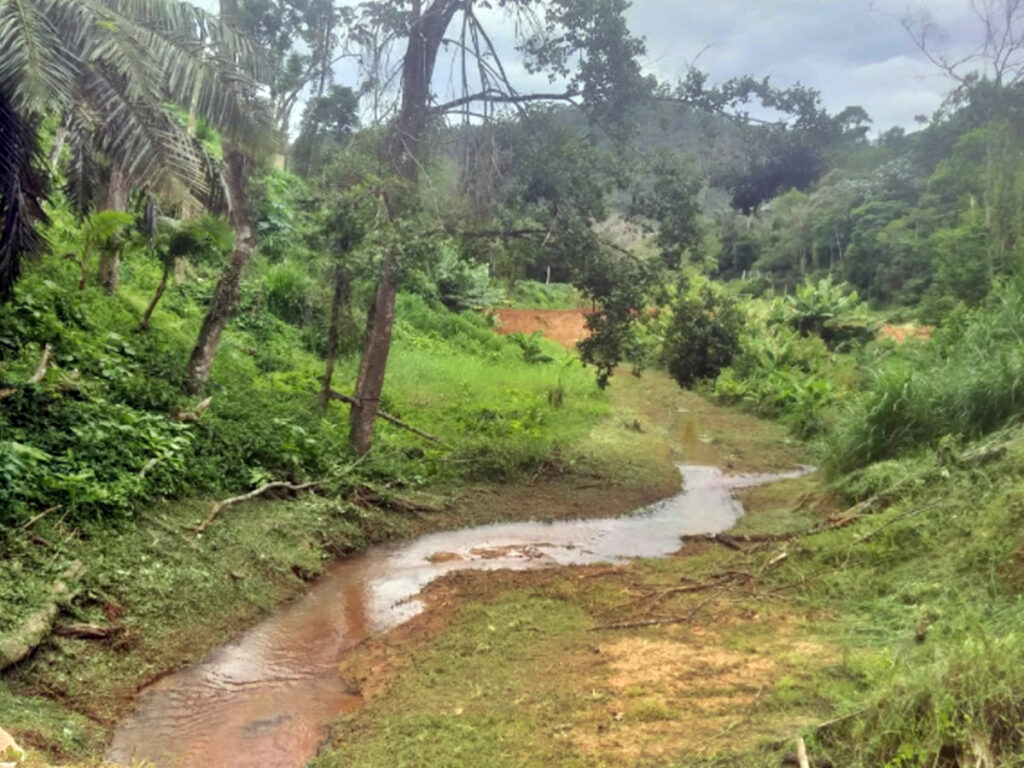 Moradores-de-Marechal-Flori