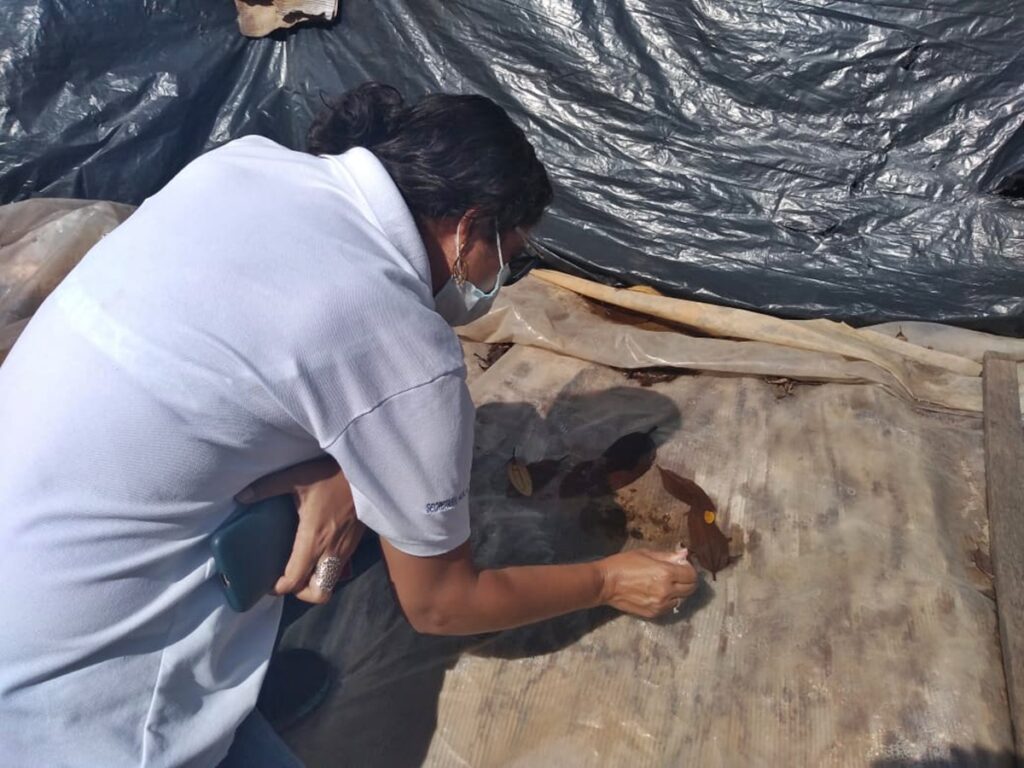 Prefeitura-de-Domingos-Martins-intensifica-combate-ao-mosquito-Aedes-aegypt.1