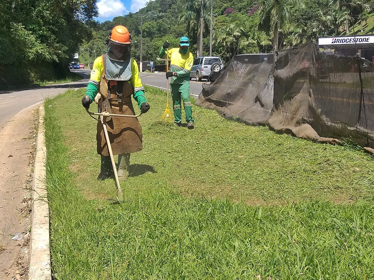 Capinzal-alto-e-aparado-as-