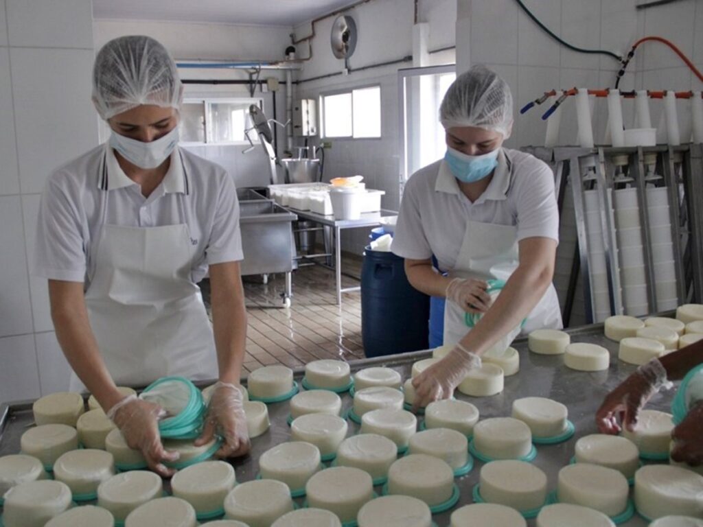 Seag-e-Sebrae-abrem-inscricoes-para-consultorias-gratuitas-para-agroindustrias