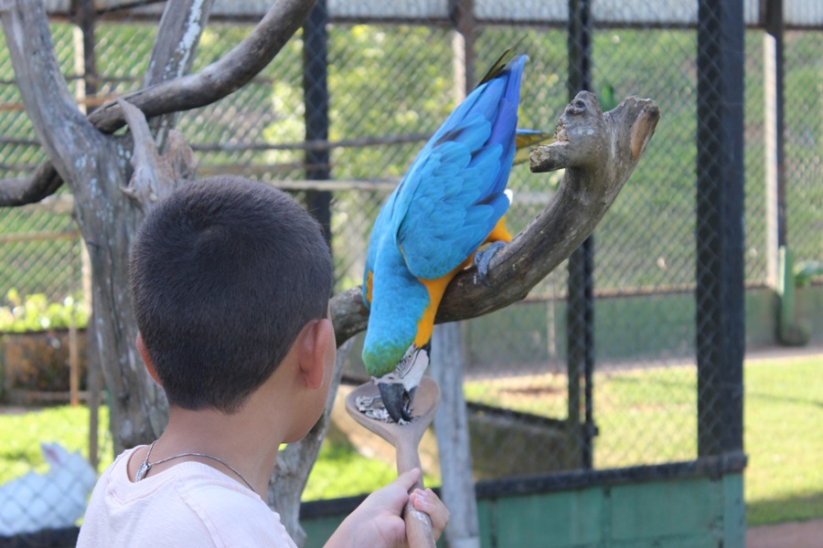 bioparque-das-aves