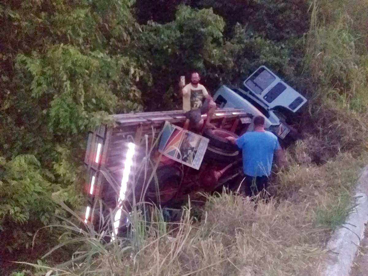 Caminhao-de-transporte-de-cargas-tomba-na-BR-262-e-vai-parar-no-meio-do-mato