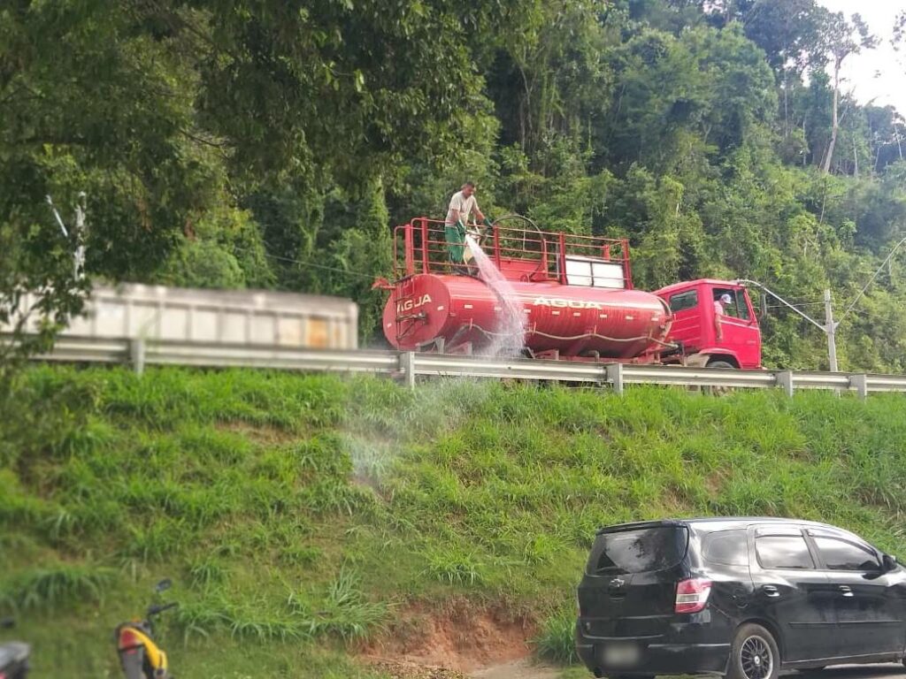 Manacas-da-serra-e-gramado-sao-regados-apos-dias-sem-chuva-em-Marechal-Floriano