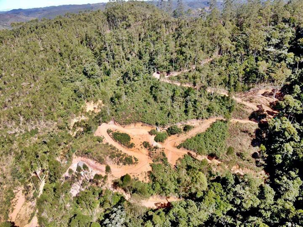 Crimes-ambientais-sao-flagrados-e-embargados-em-Marechal-Floriano Crimes-ambientais-sao-flagrados-e-embargados-em-Marechal-Floriano
