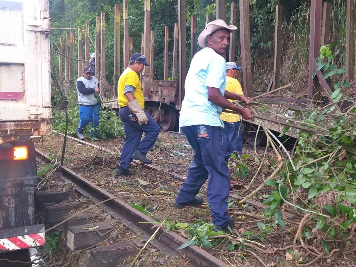 Matagais-nascidos-sobre-vagoes-abandonados-sao-removidos-em-Marechal-Floriano