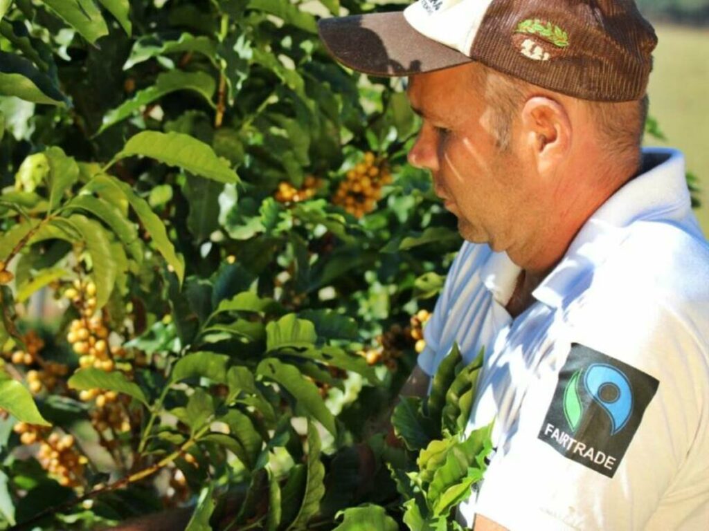 Movimento-nacional-lanca-o-desafio-de-plantar-arvores-em-centenas-de-propriedades-rurais-brasileiras