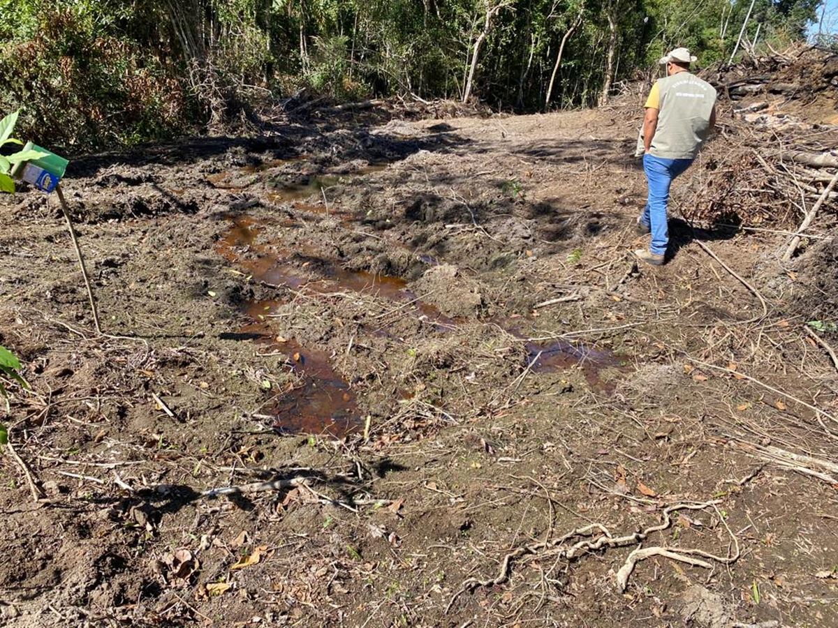 Operacao-da-Policia-Ambiental-identifica-crimes-ambientais-em-Santa-Teresa-1