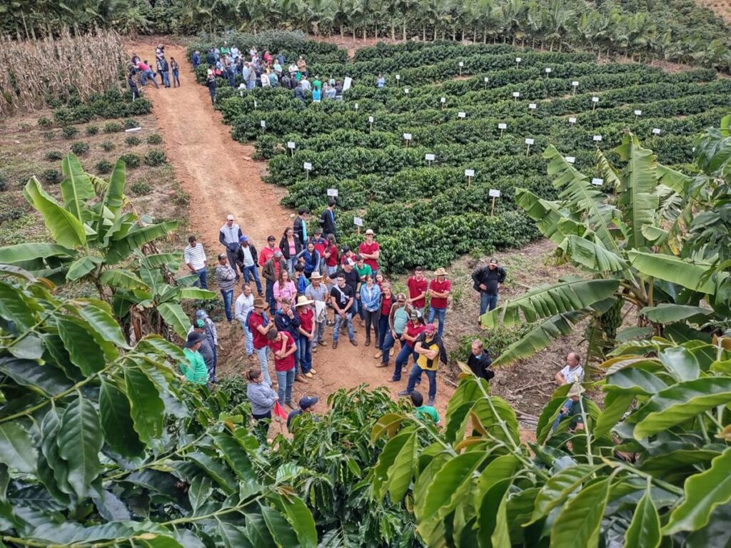 Santa-Maria-de-Jetiba-recebe-dia-de-campo-sobre-cafe-arabica-nesta-quarta-feira-25-1