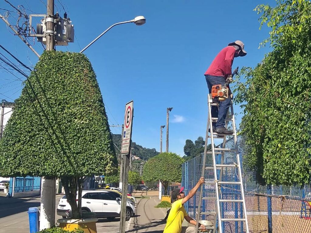 Arvores-sao-aparadas-para-embelezar-vias-publicas-em-Marechal-Floriano-1