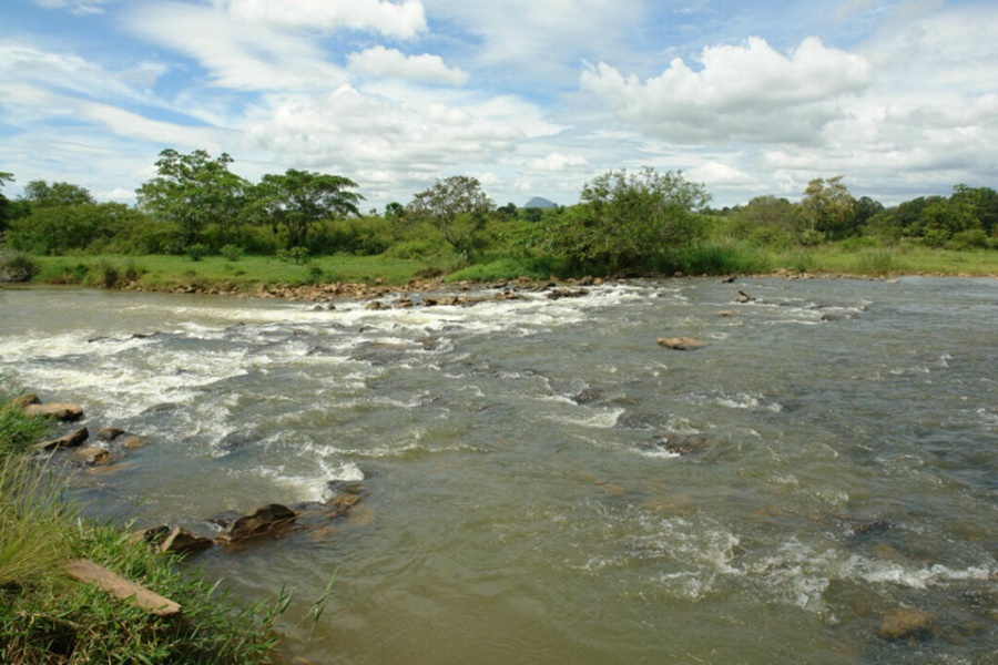 Bacia-do-rio-Santa-Maria-recebe-investimento-de-R-35-milhoes-para-restauracao-florestal Bacia-do-rio-Santa-Maria-recebe-investimento-de-R-35-milhoes-para-restauracao-florestal