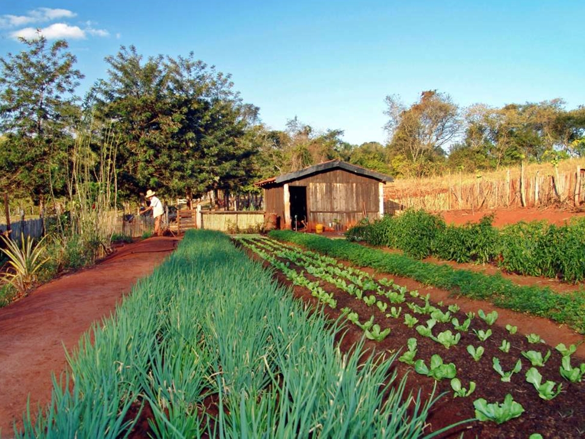 Certificado de cadastro de im vel rural ccir deve ser pago at o dia