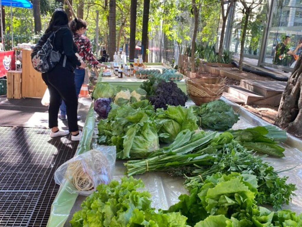 Produtos-organicos-irregulares-sao-apreendidos-durante-fiscalizacao